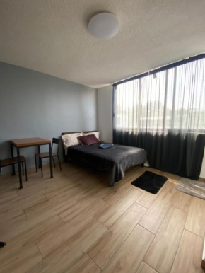Agradable,comodo,centrico apartamento en CDMX 8